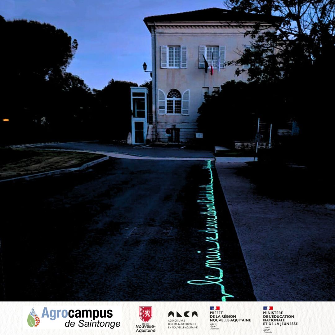 31-3 Sabrina Ambre Biller | Autrice, illustratrice et photographe