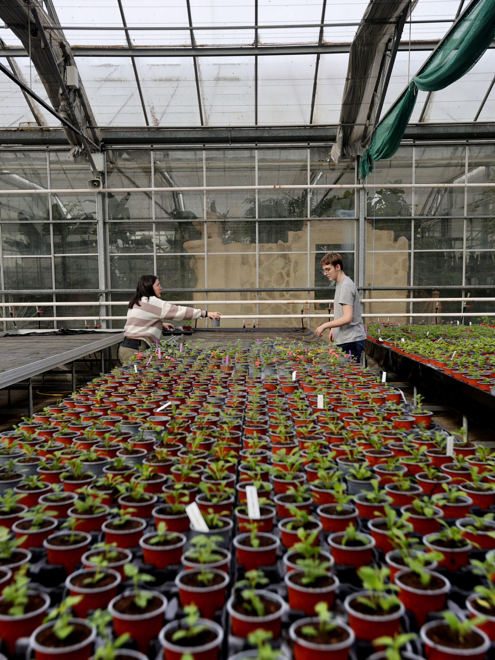 De la graine à l'assiette