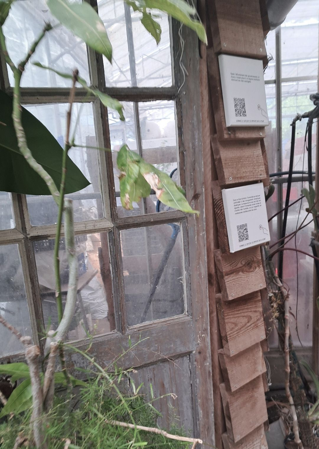 Copie de Copie de Story Instagram avec citation en Rose bonbon F