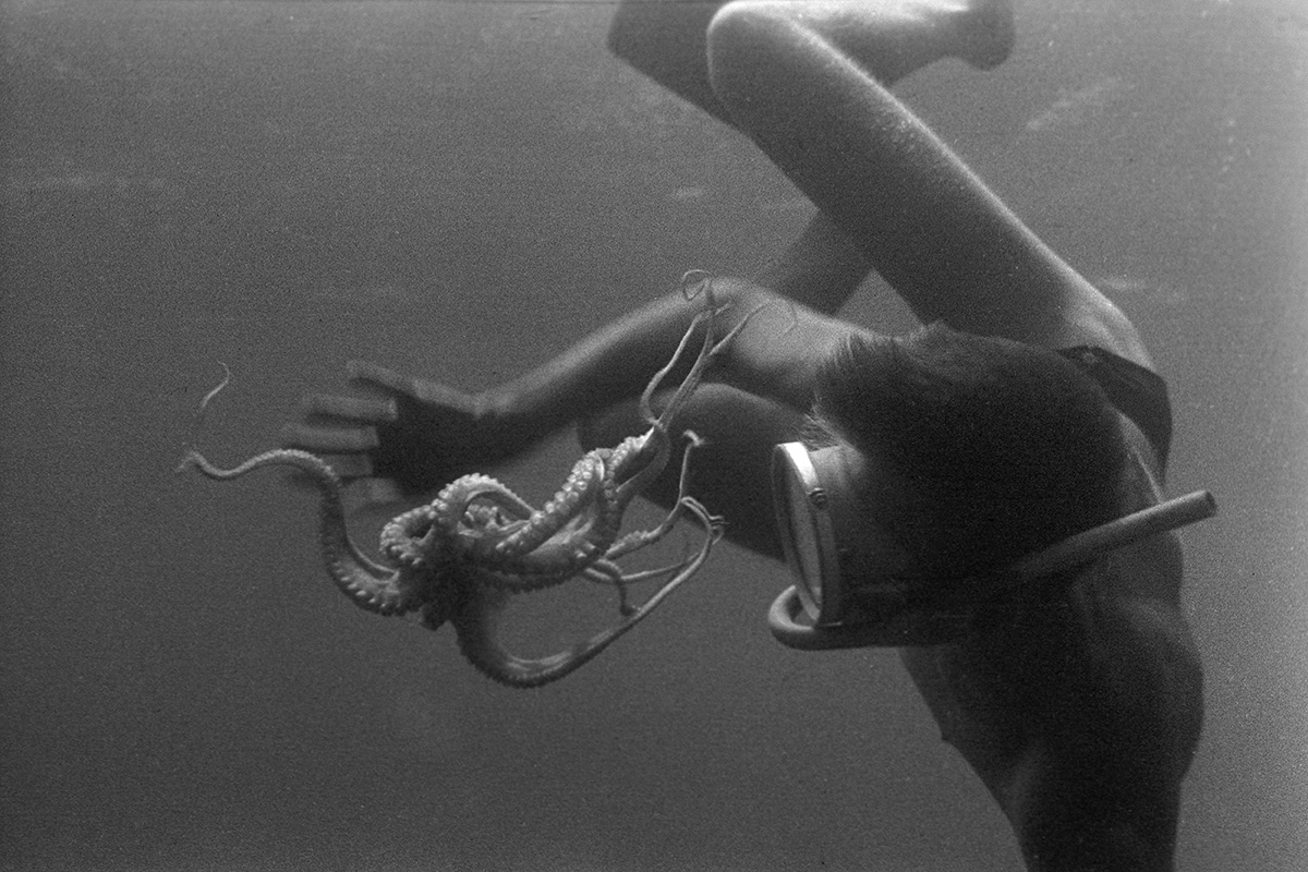 Lumière sous-marine. Année 1950 à 1960.