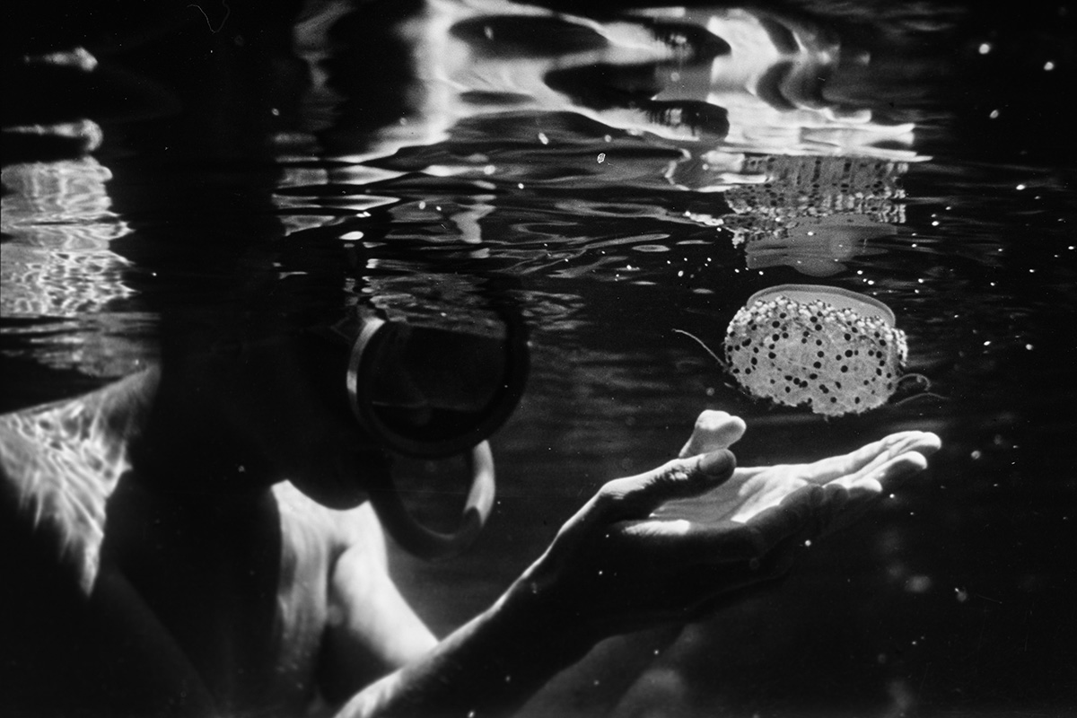 Lumière sous-marine. Année 1950 à 1960.